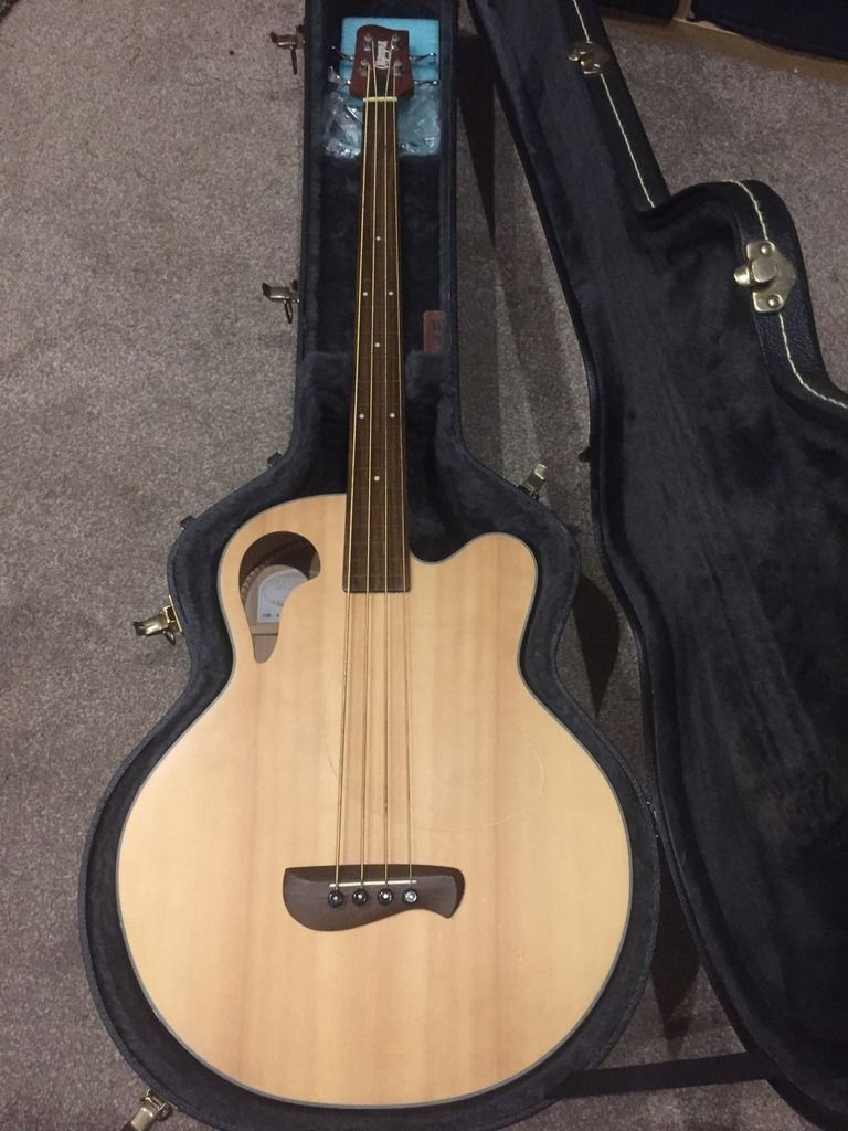 Olympia By Fretless Acoustic Bass Basses For Sale Basschat